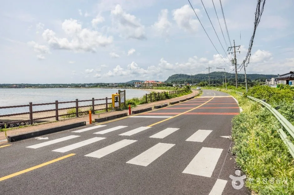 제주_해맞이해안로 (3)