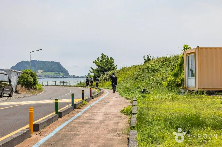 제주_해맞이해안로 (4)