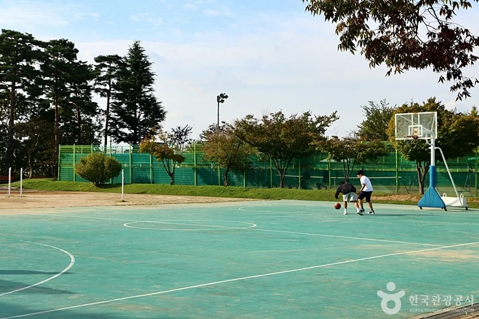 수성못상화동산 (10)