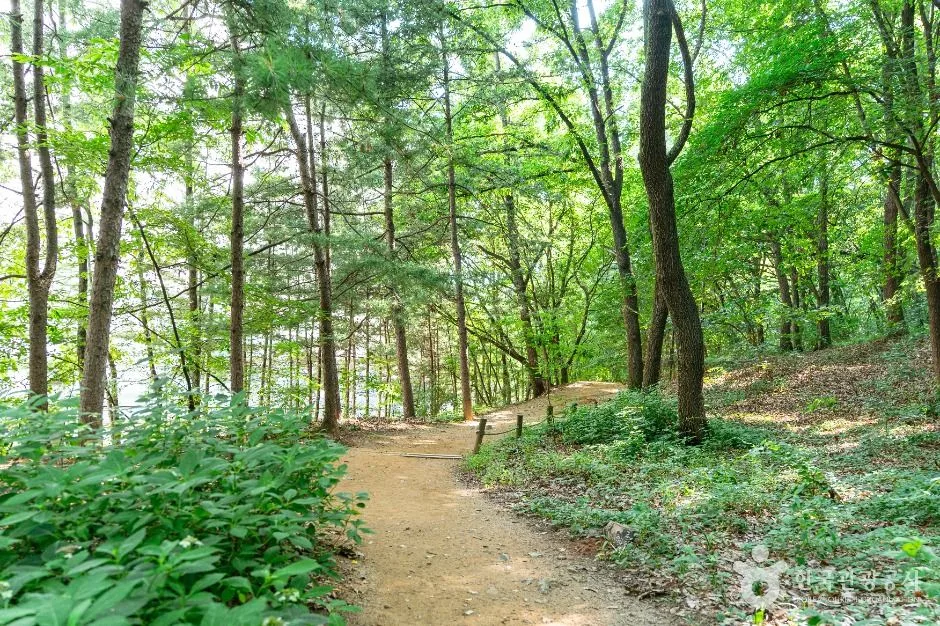 고양_정발산공원 (2)