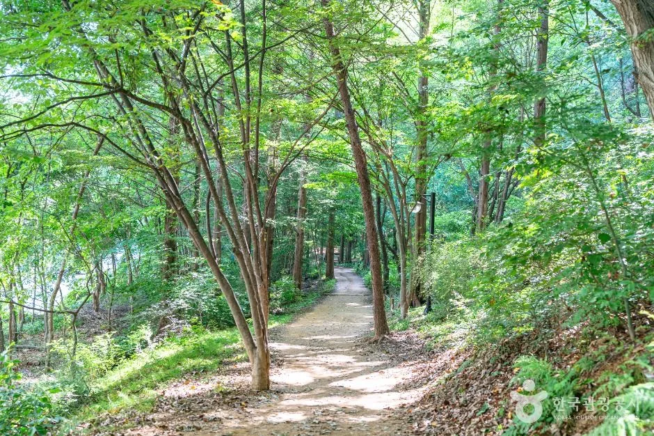 고양_정발산공원 (3)