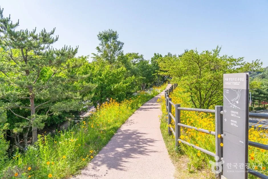 서울_청운공원 (2)