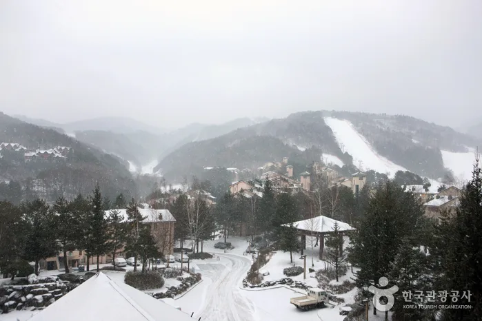 강원도의 산과 바다를 동시에 즐기는 1박 2일 코스