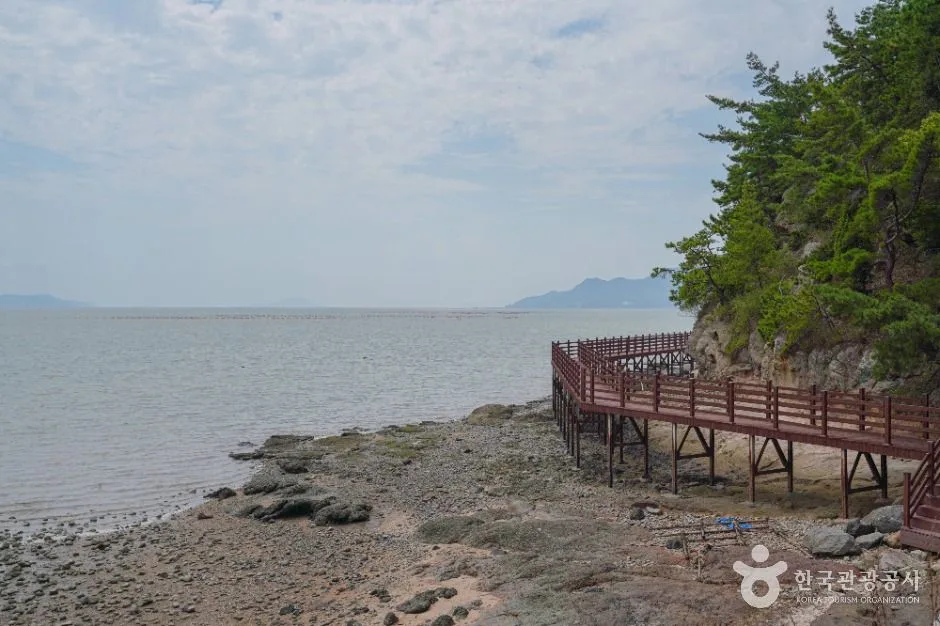 전남_고흥 신기거북이마을 (4)