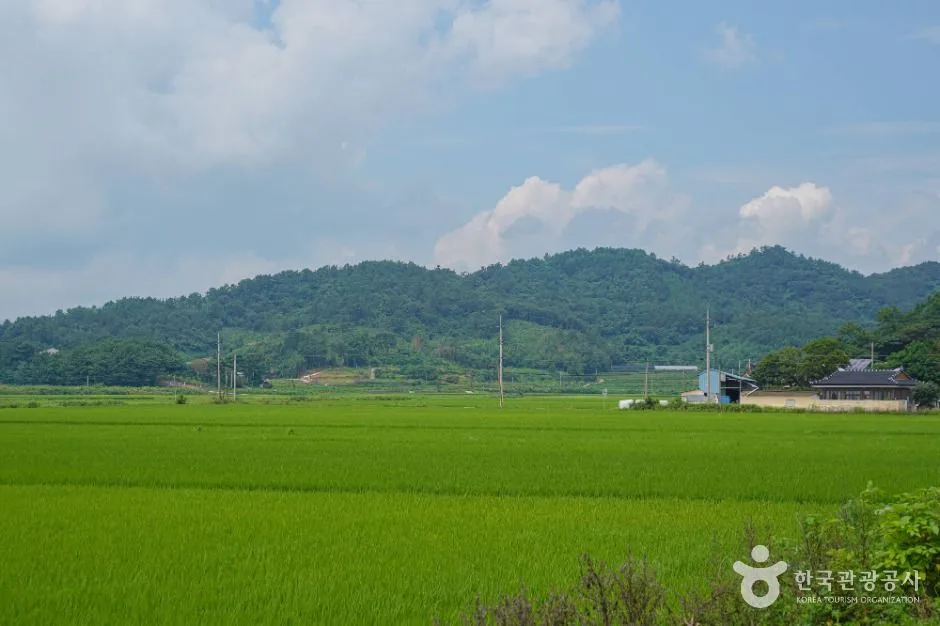 전남_고흥 신기거북이마을 (6)