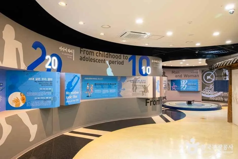 충주·제천 가볼 만한 곳, 당일치기 여행 코스_제천한방엑스포공원_3-3