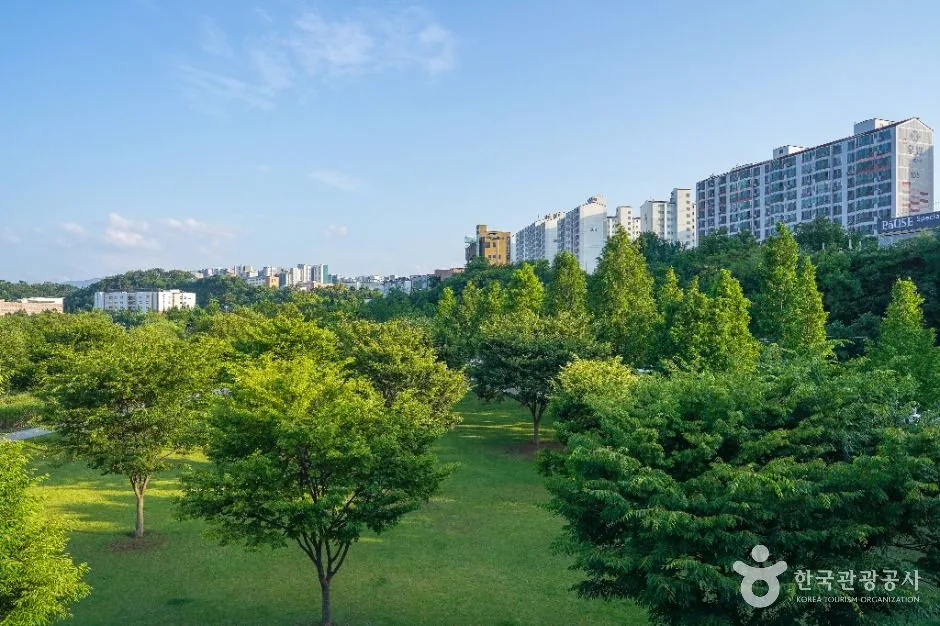 대구_공항교강변공원 (4)