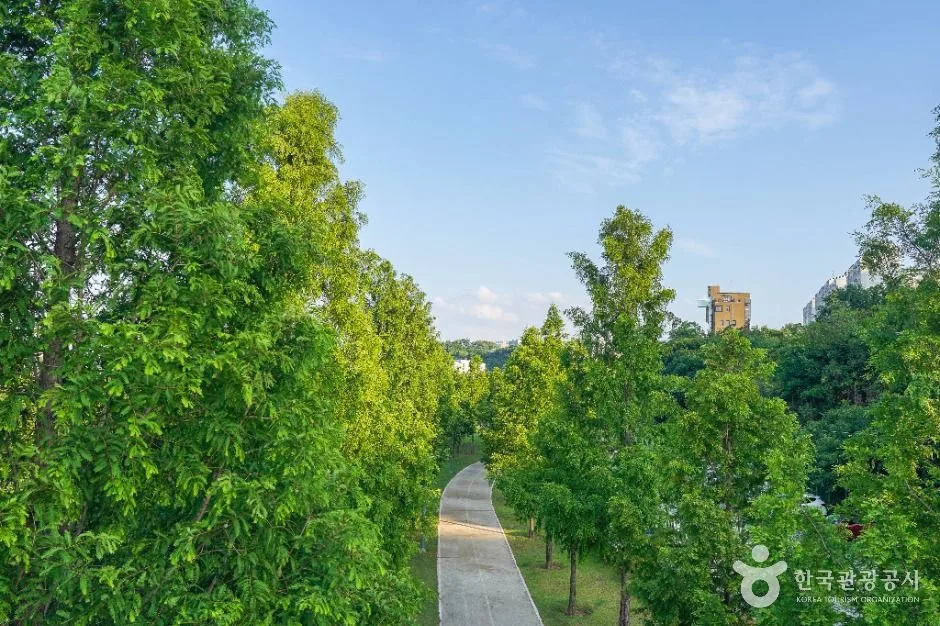 공항교강변공원