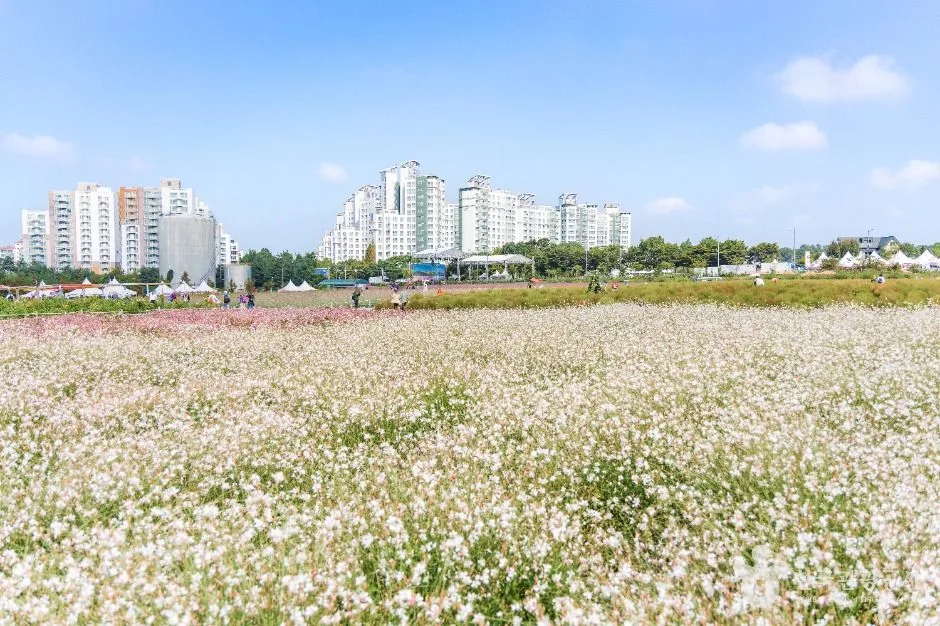 경기_양주_나리농원_외부_5.jpg