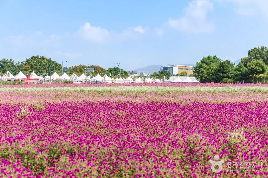 경기_양주_나리농원_외부_3.jpg