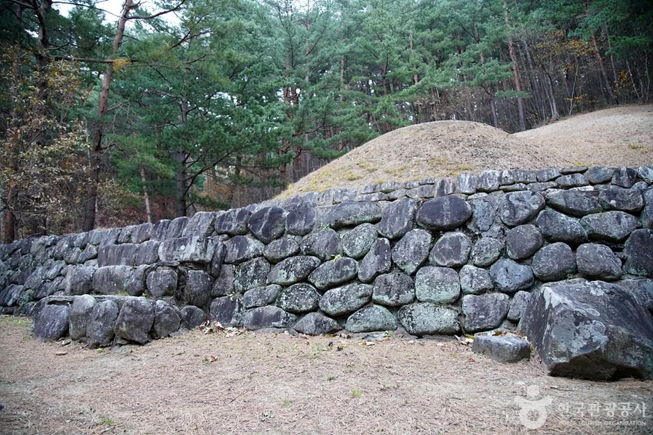 영경묘 (10)