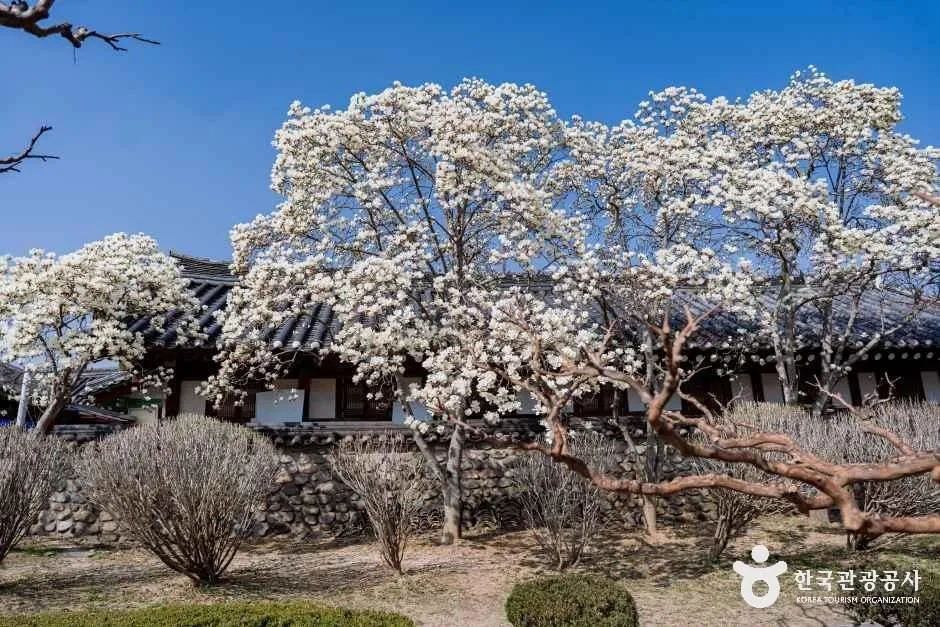 경북_경주_경주 오릉_외부_5.jpg