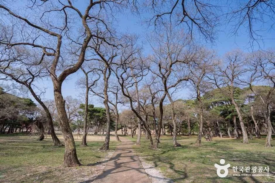 경북_경주_경주 오릉_외부_3.jpg