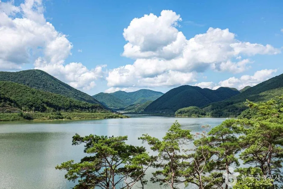보현산댐 출렁다리 (2)