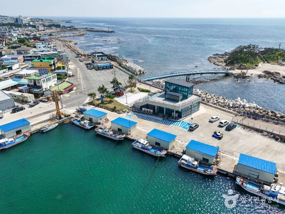 포항_삼정해수욕장 (5)