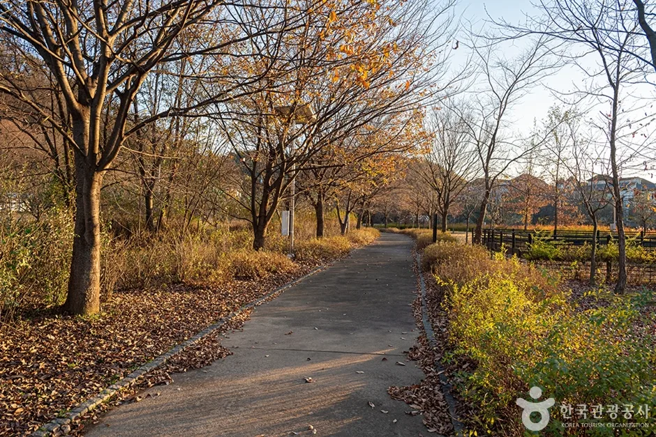 수풀로 삼회리  (3)
