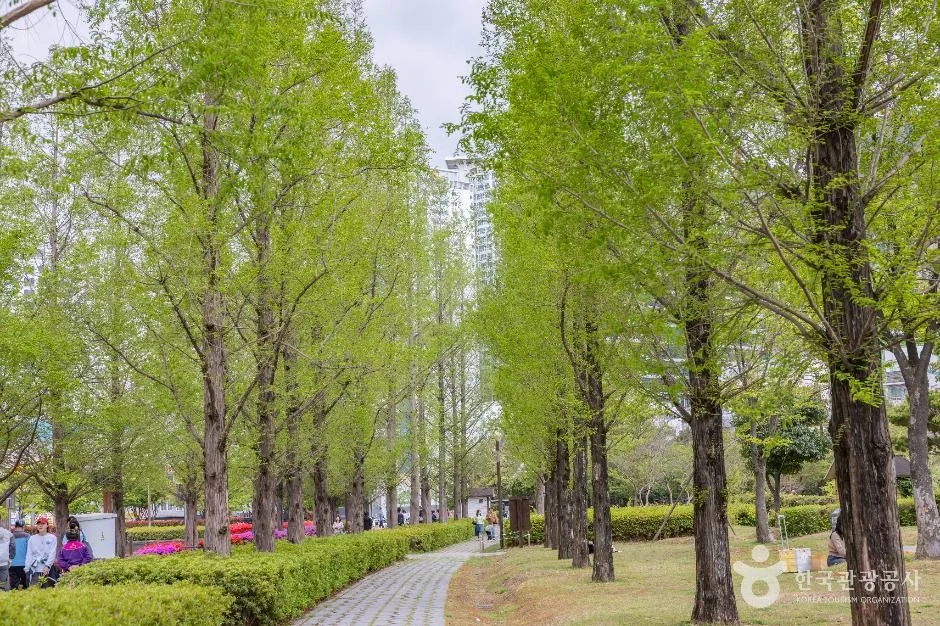 부산_부산시민공원 (10)