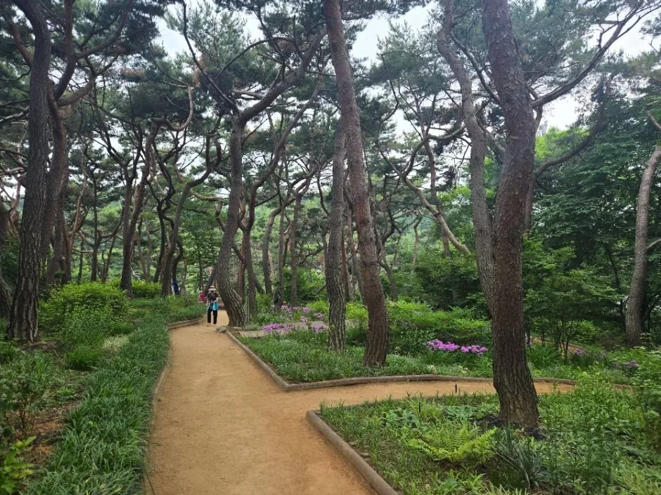 서울_아차산 (6)