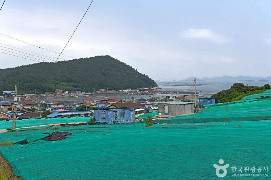 완도_약산도(조약도) (7)