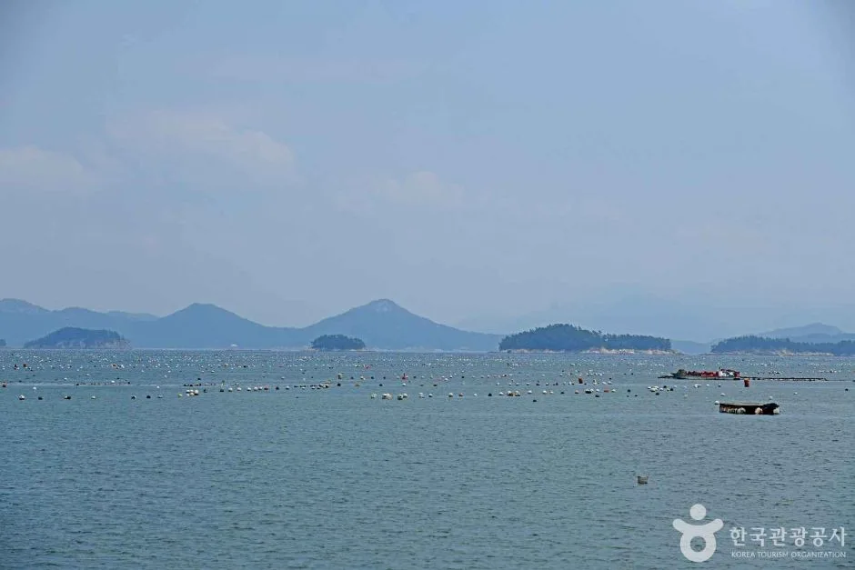 완도_약산도(조약도) (2)