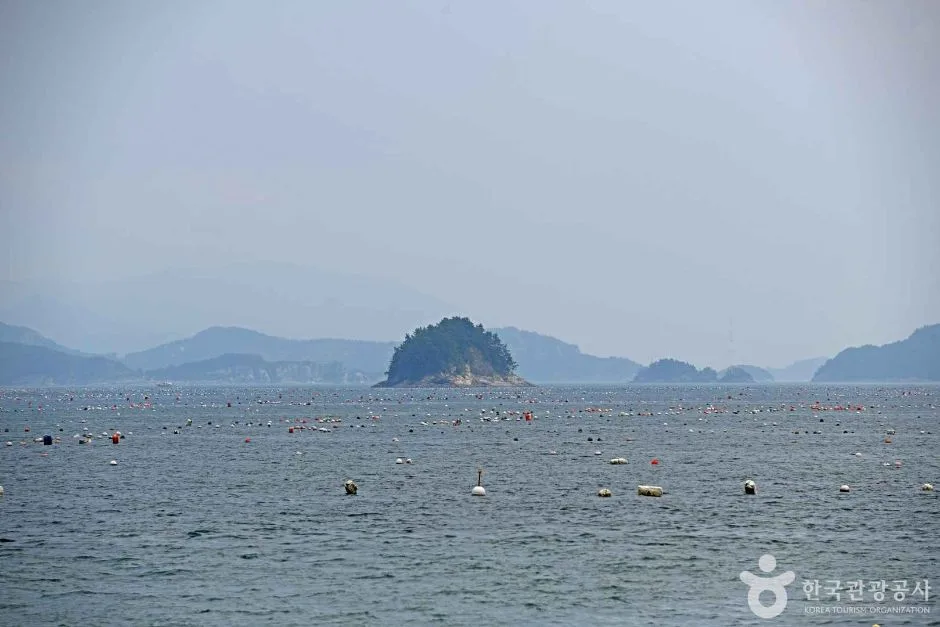 완도_약산도(조약도) (4)