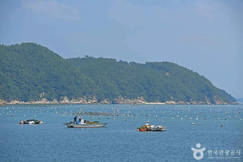 완도_약산도(조약도) (6)
