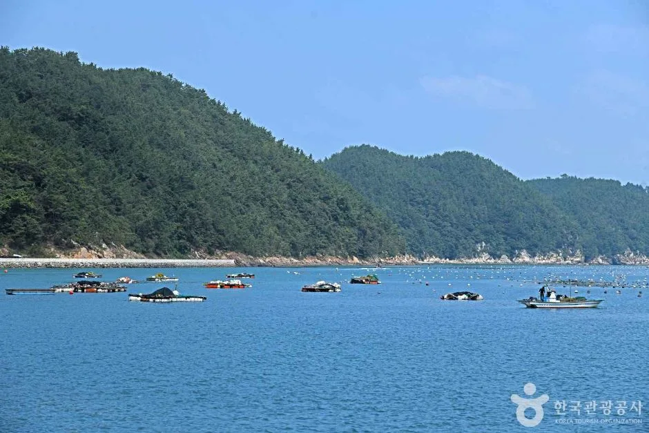 완도_약산도(조약도) (3)