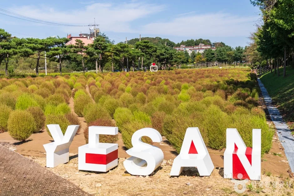 덕산온천지구 (10)