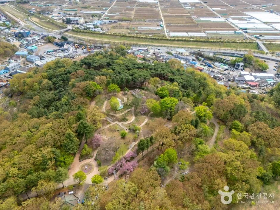 달성_화원동산 (4)