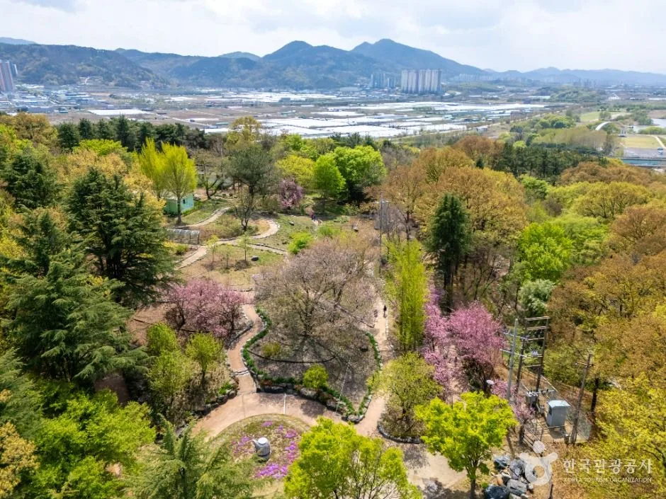달성_화원동산 (2)