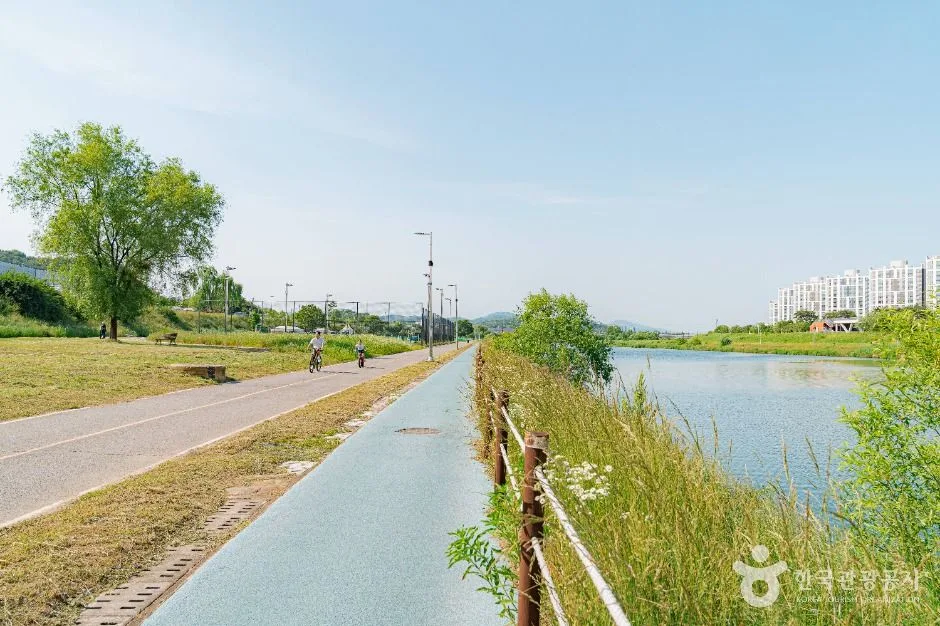 구리_왕숙천시민공원 (2)