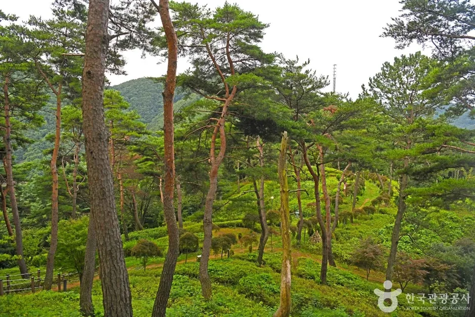 조산공원 (5)