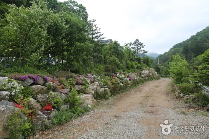계방산(홍천)