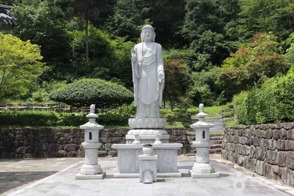 학림사(세종) (12)_e