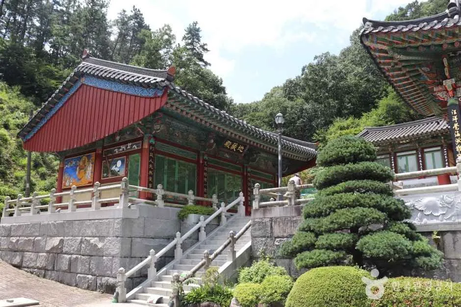 학림사(세종) (11)_e