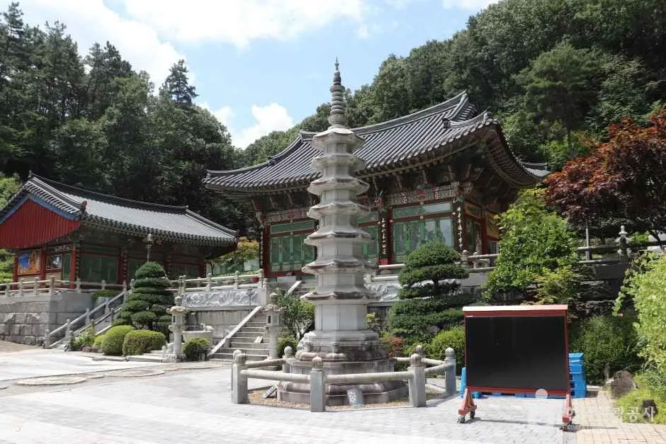 학림사(세종) (8)_e