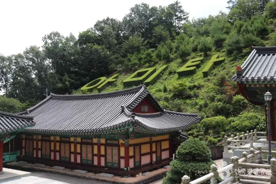 학림사(세종) (14)_e