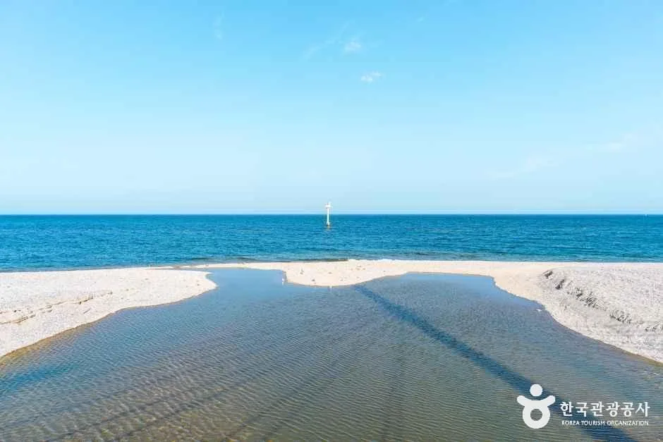 전촌솔밭해변