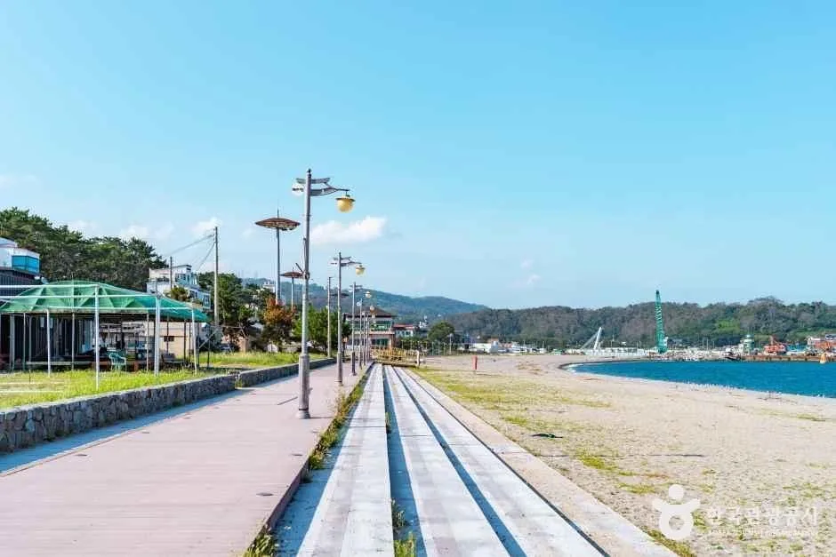 경주_전촌솔밭해변 (3).jpg
