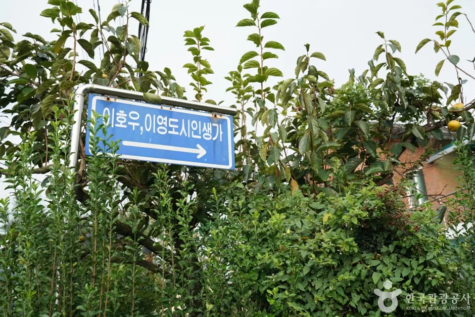 청도 이호우와 이영도 생가 (8)