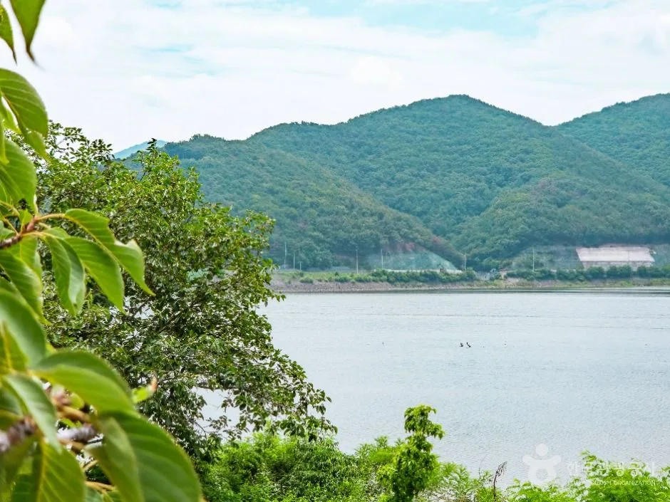 경주_하곡지 (3)