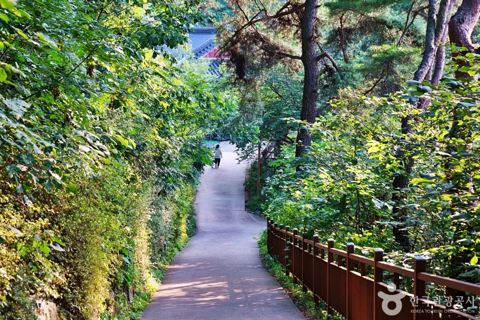 N01152_경북_예천_회룡포전망대 (8)