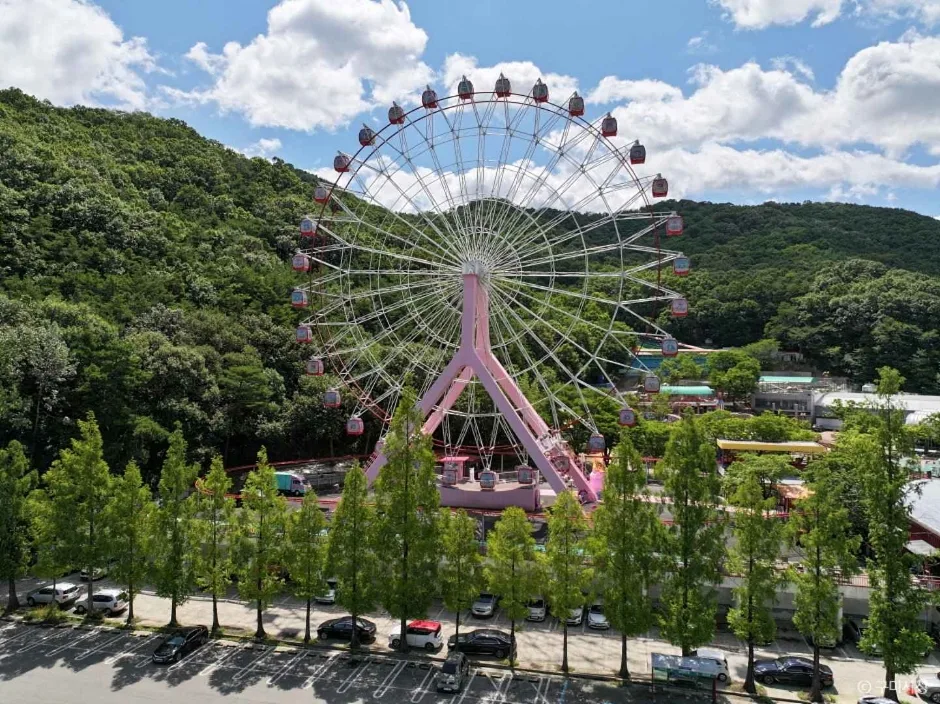 경북_구미_금오랜드 놀이동산 (2)