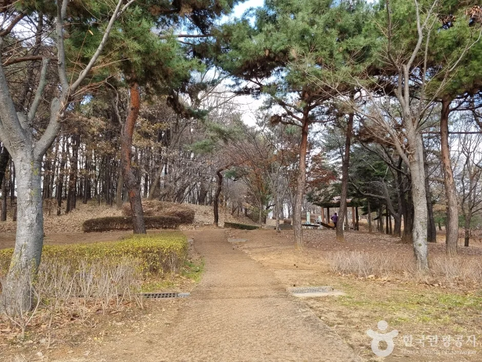 수지체육공원_9