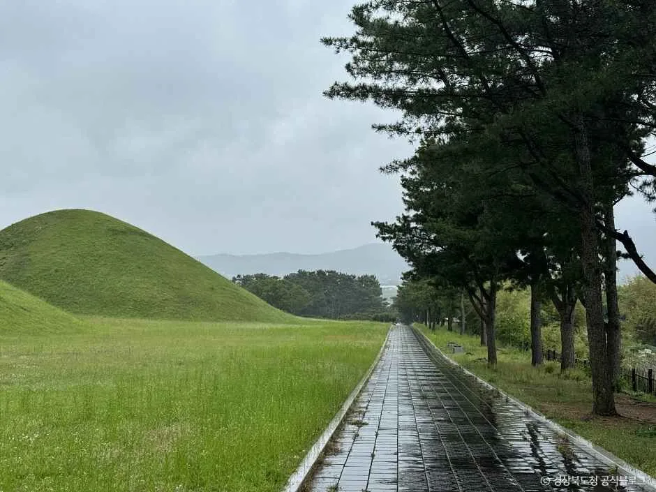 경주_경주 무열왕릉·태종무열왕릉비 (9).jpg