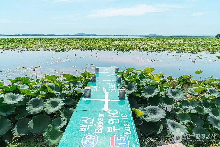 부안_청호저수지 (2)