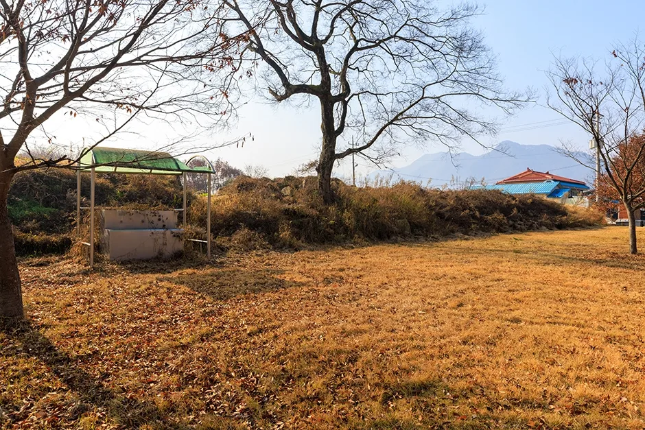 괴산_청천수변공원 (9).jpg