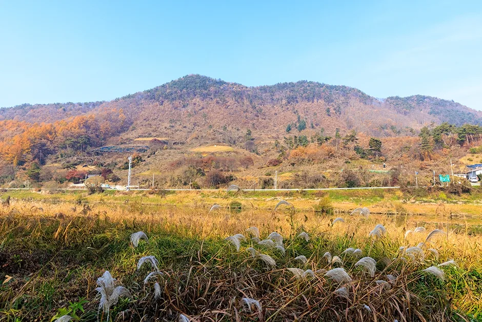괴산_청천수변공원 (6).jpg