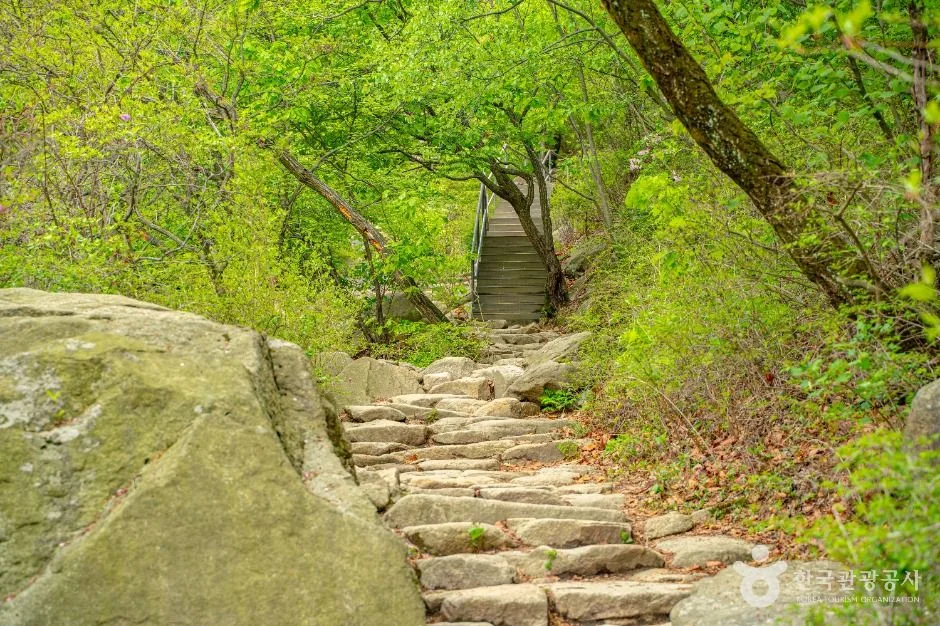 서울_관악산 (3)
