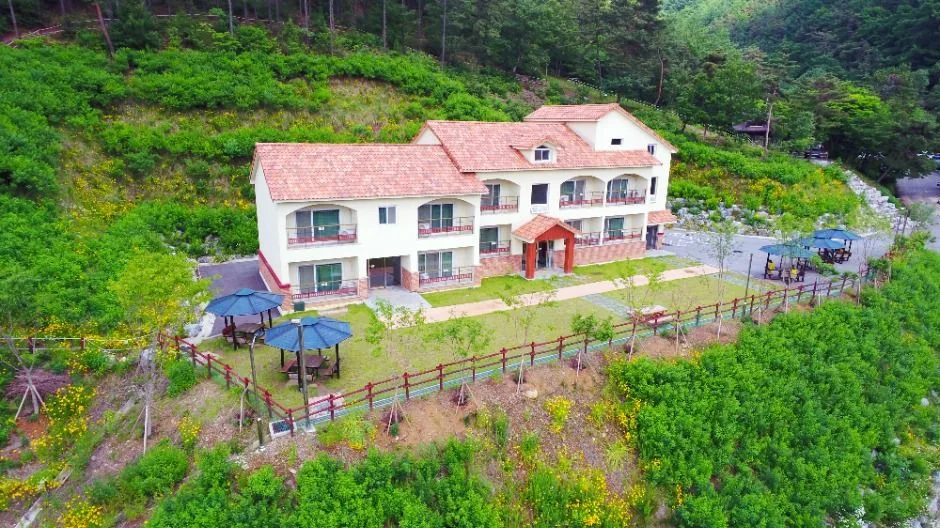 보은_국립속리산말티재자연휴양림 (3)